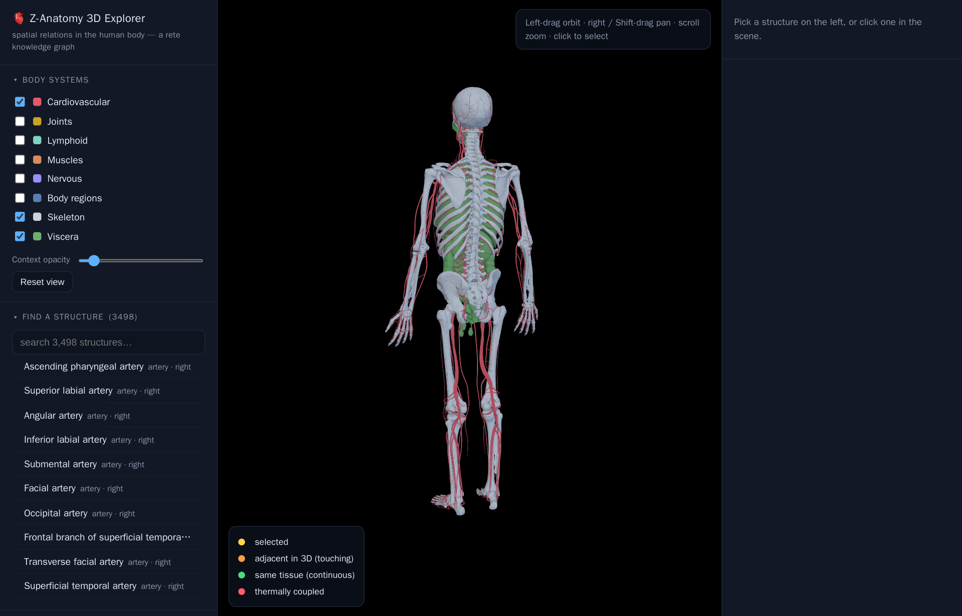 The Z-Anatomy 3D explorer: a full human skeleton with red arteries and veins and green viscera rendered together in 3D at the centre, a left sidebar with body-system checkboxes (Skeleton, Cardiovascular, Viscera, Muscles, Nervous…) and a search box over 3,498 structures, and a legend for selected / adjacent-in-3D / same-tissue / thermally-coupled relations.